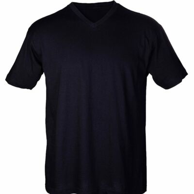 Tultex Men's Fine Jersey V-Neck T-Shirt 206 Men's Fine Jersey V-Neck T-Shirt Thumbnail