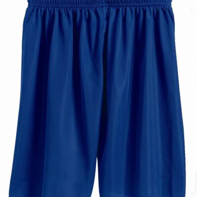 Badger Men's Mini Mesh 7'' Inseam Shorts 7237 Men's Mini Mesh 7'' Inseam Shorts Thumbnail